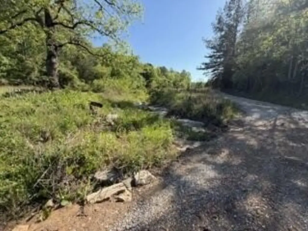 Picture 11