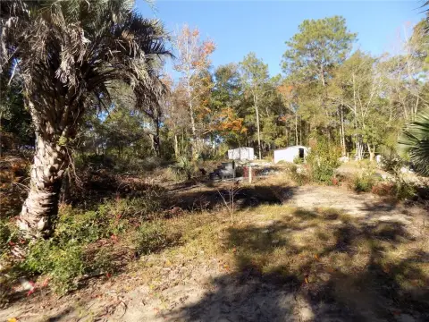 Archer, FL Vacant Land