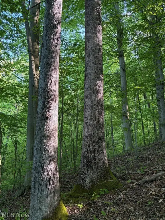Picture 24