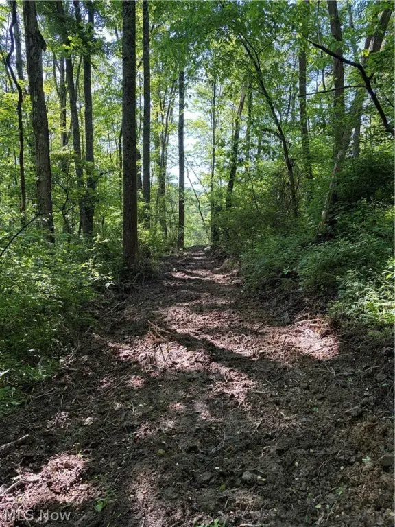 Picture 18
