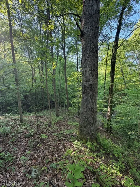 Picture 36