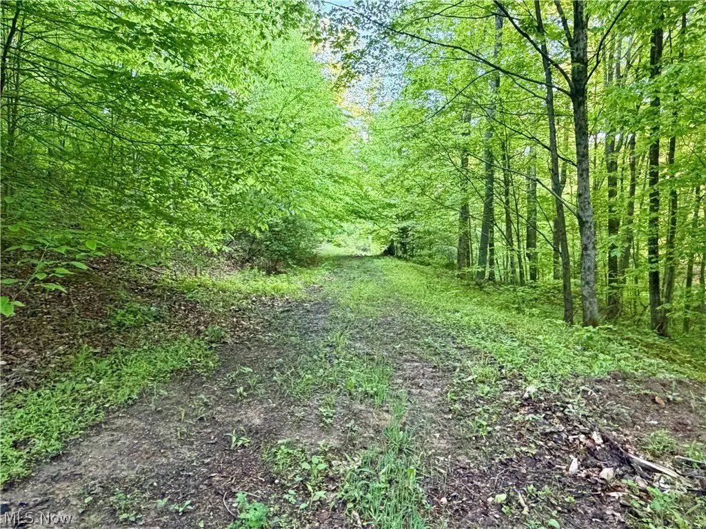Picture 34