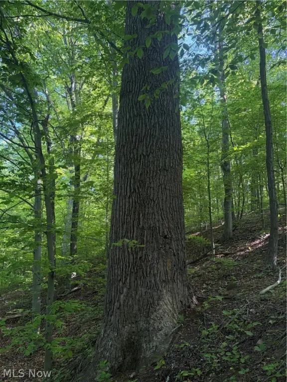 Picture 17