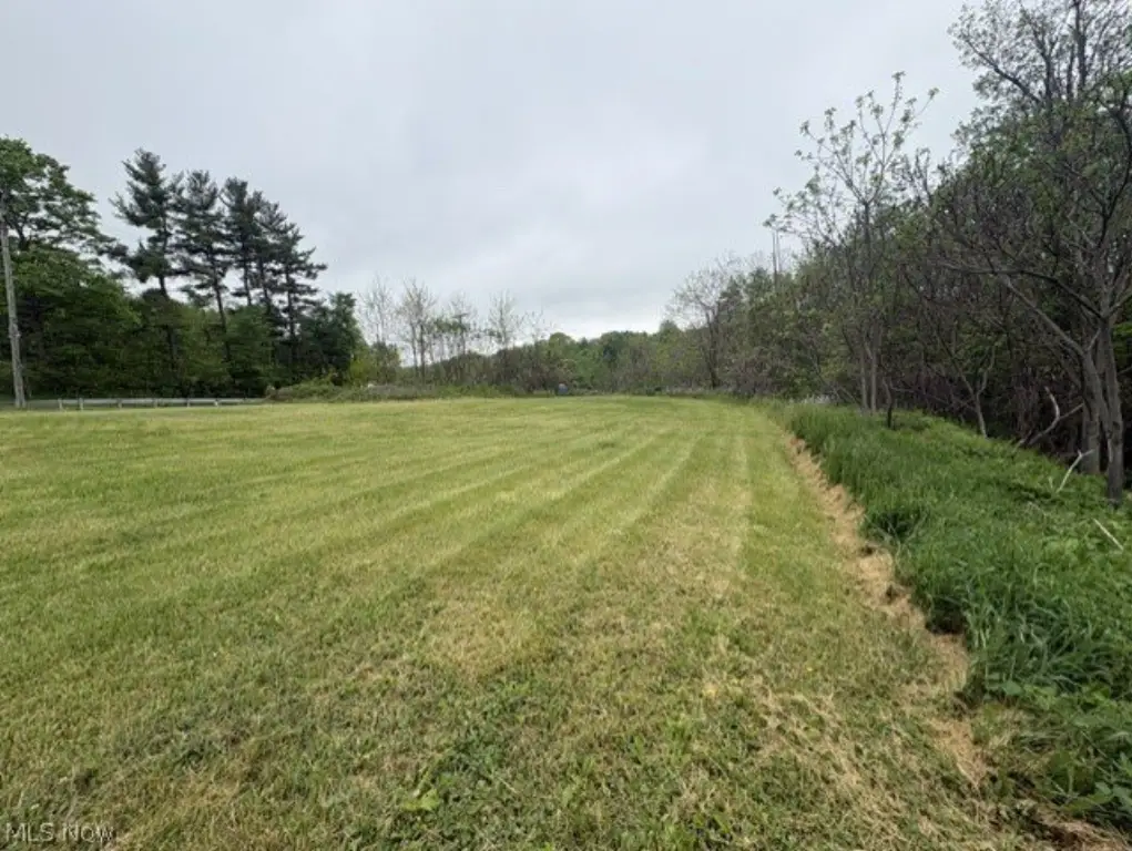 Picture 4