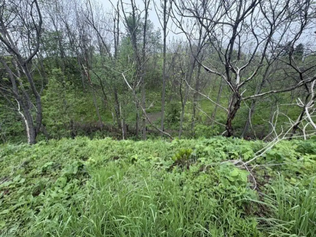 Picture 7