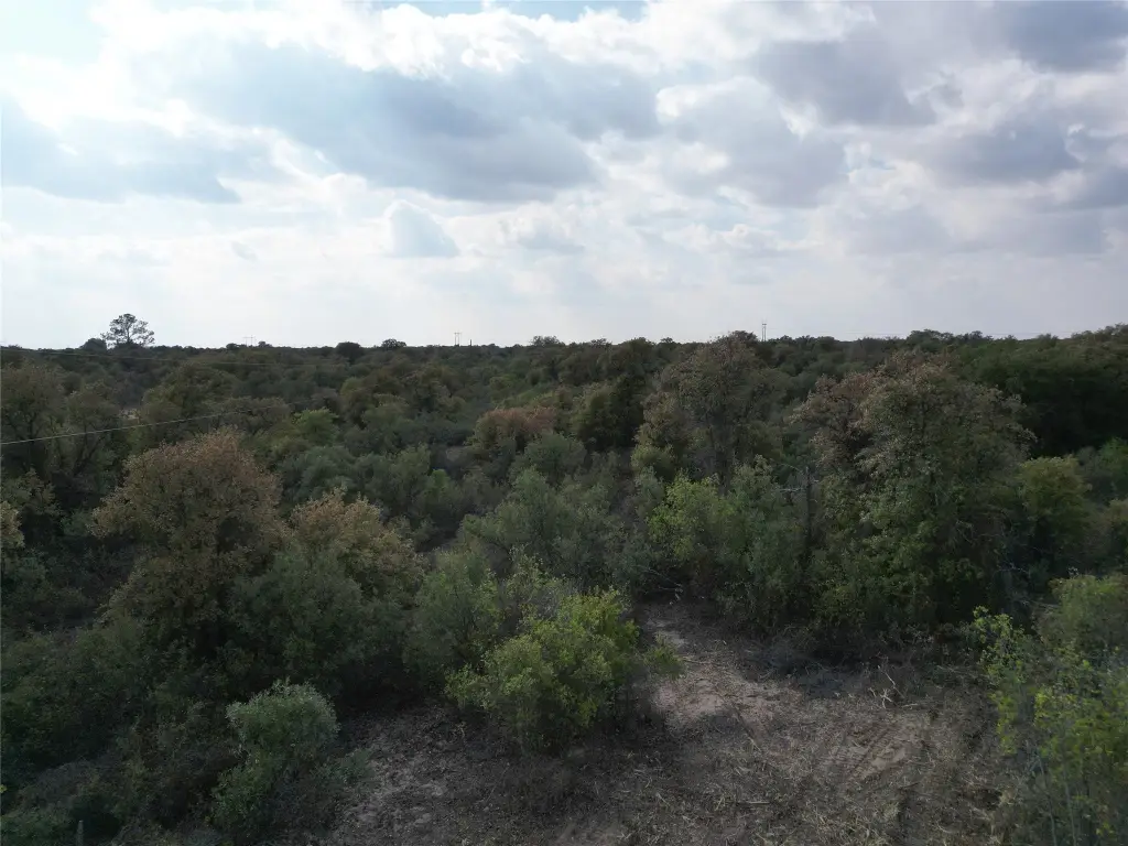 Picture 3