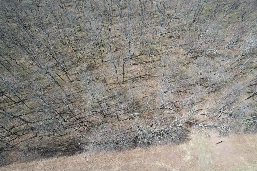 Picture 42