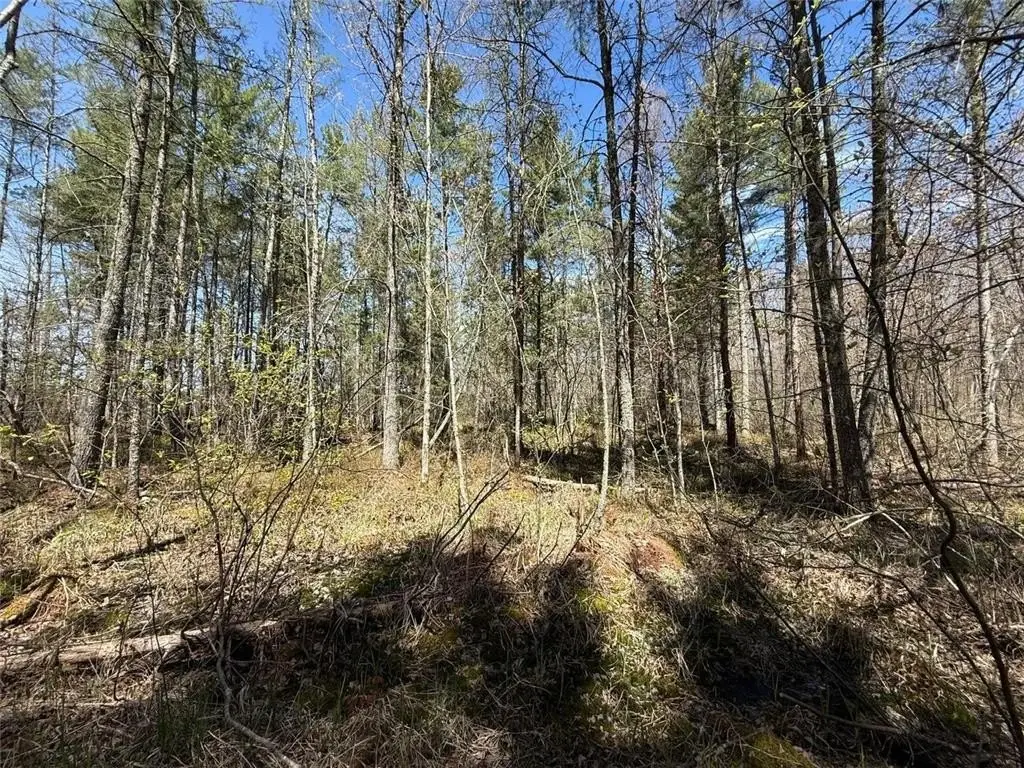 Picture 23