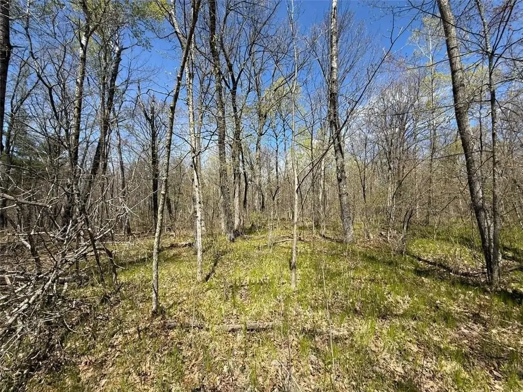 Picture 17