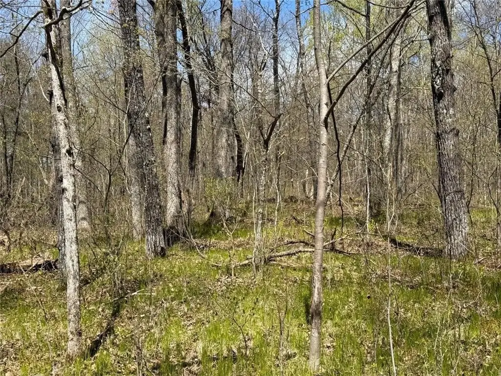 Picture 16