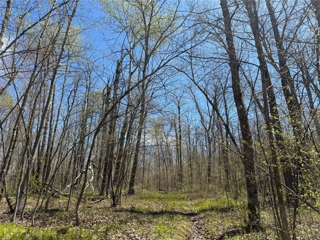 Picture 36