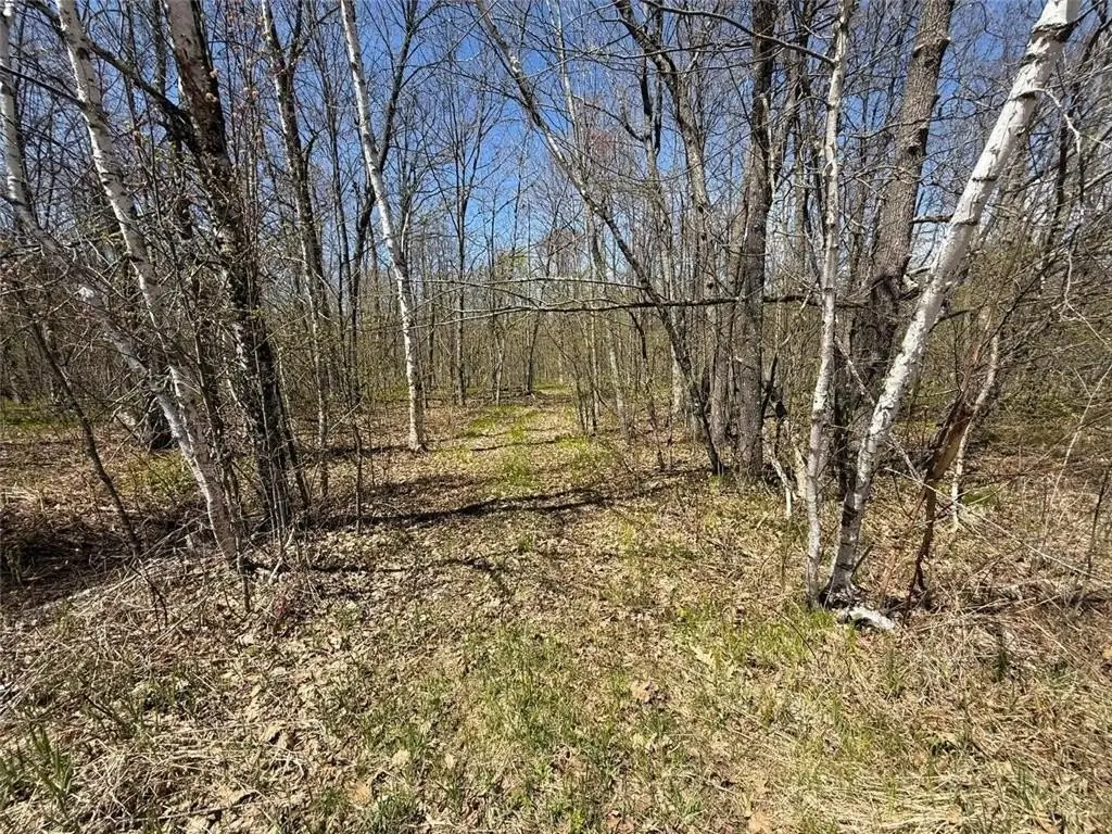 Picture 7