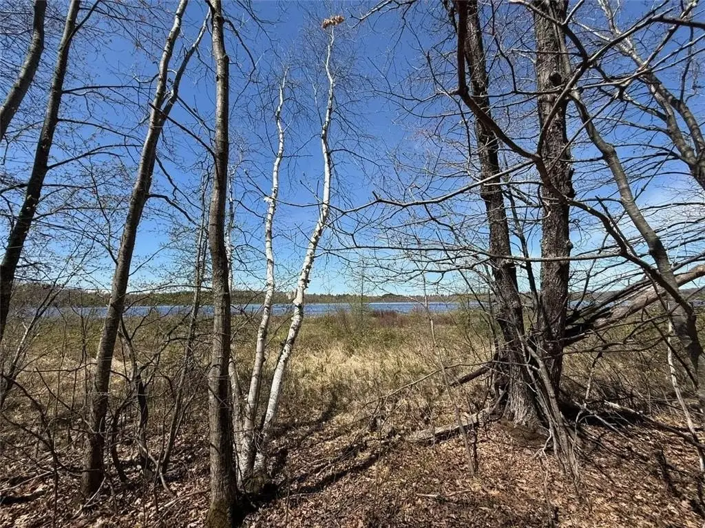 Picture 29