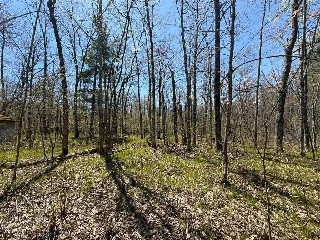 Picture 19