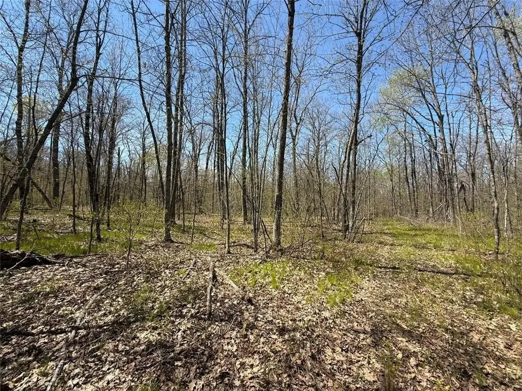 Picture 10