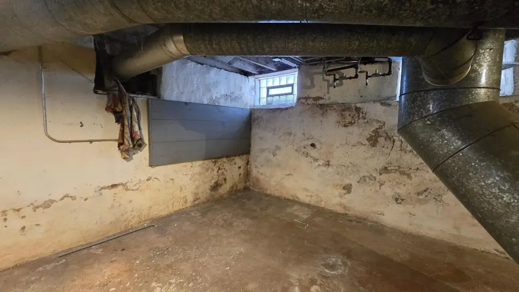 Picture 25