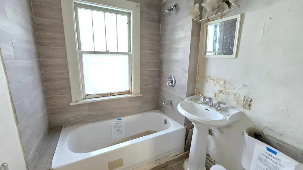 Picture 7