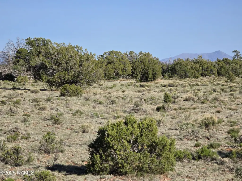 Picture 20