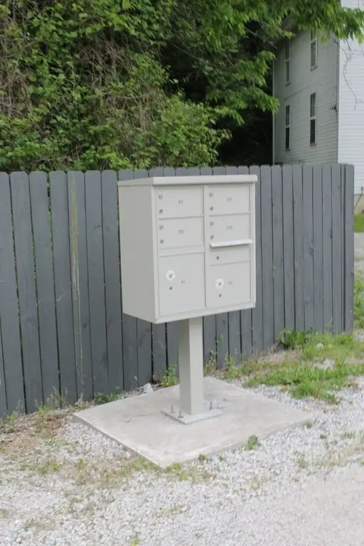 Picture 11