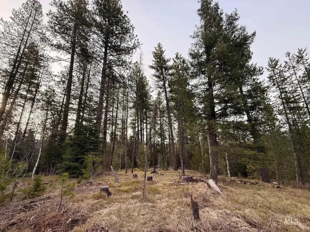 Picture 10