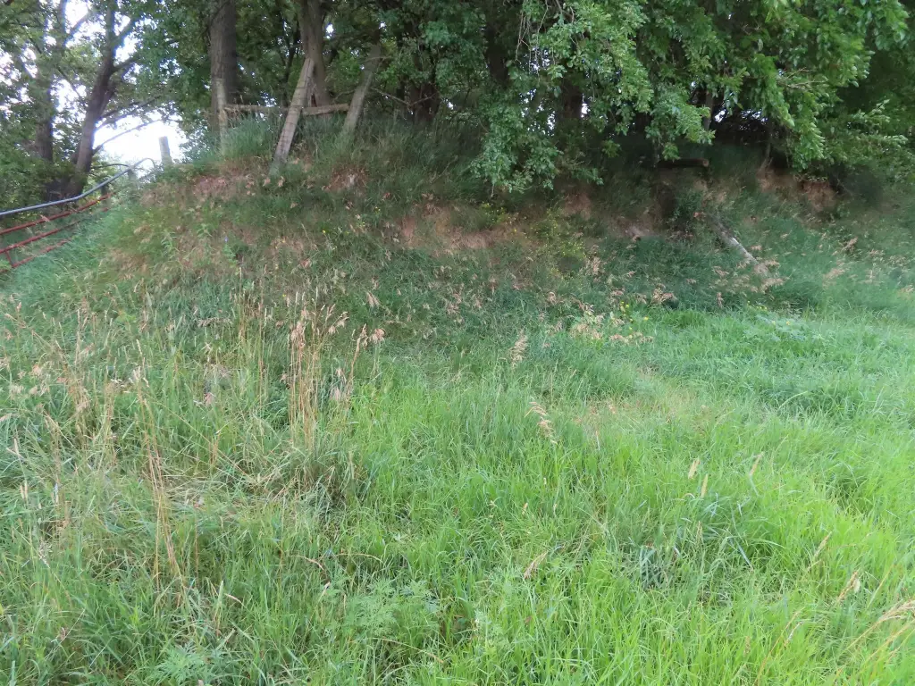 Picture 11