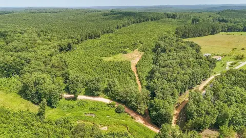Land with Stream in Savannah