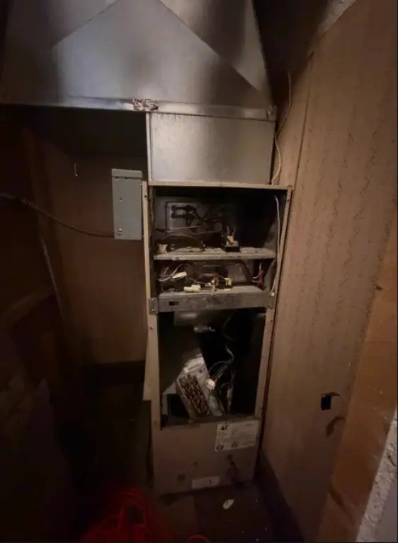 Picture 38