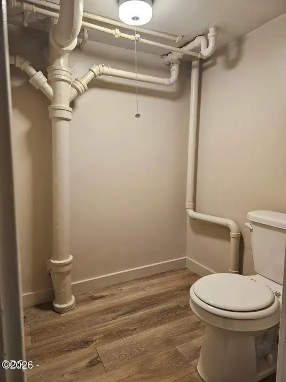 Picture 9