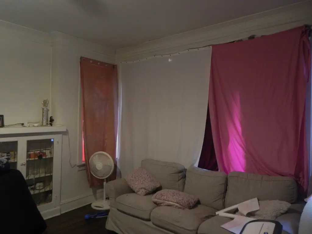 Picture 5