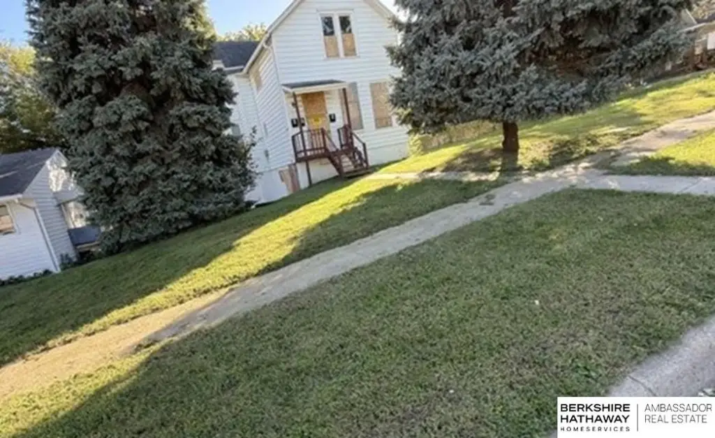 Picture 5