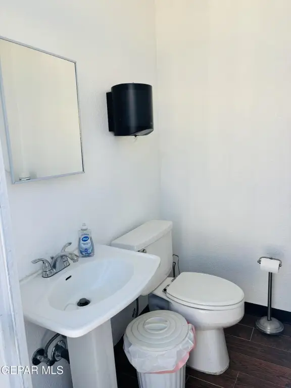 Picture 17