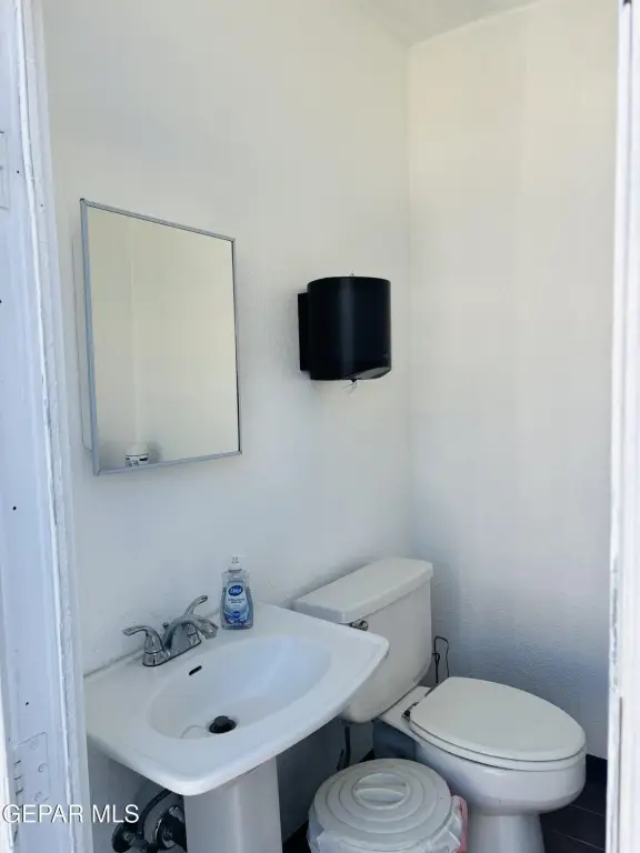 Picture 15
