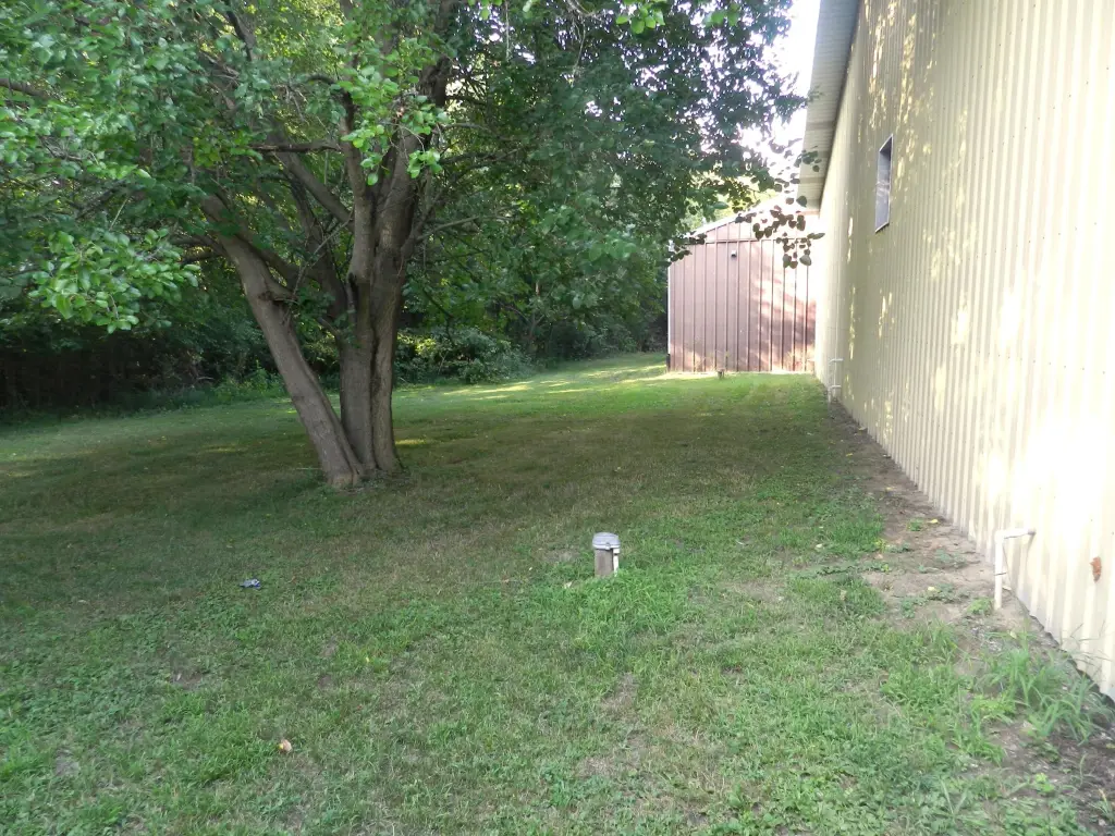 Picture 37
