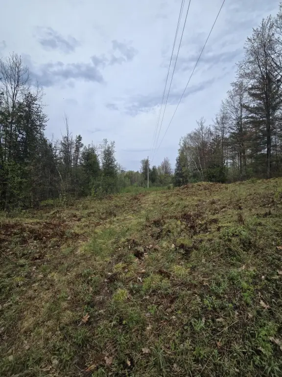 Picture 27
