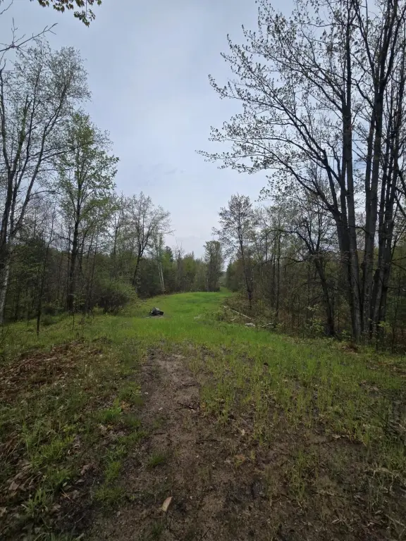 Picture 25
