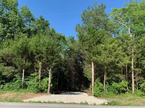 Hillsboro Wooded Land For Sale