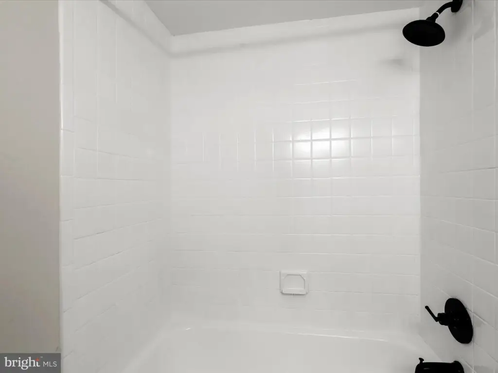 Picture 44