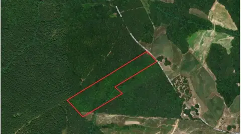 18 Acre Lunenburg County Land