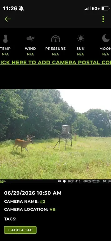 Picture 6