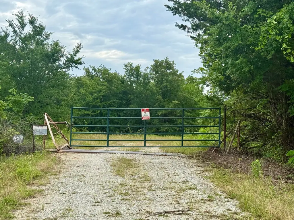 Picture 17