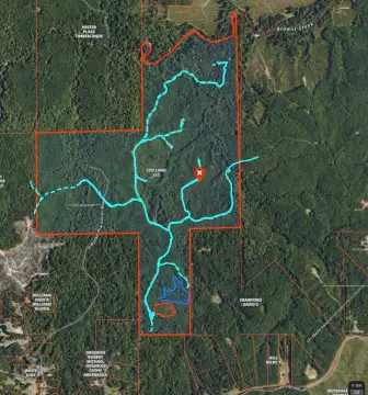 Woodville Hunting Land For Sale