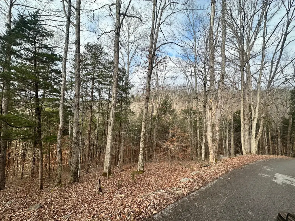 Picture 4