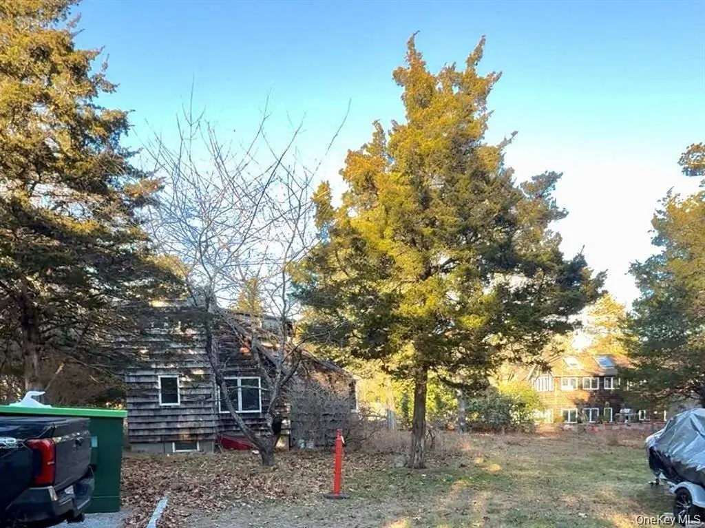 Picture 21