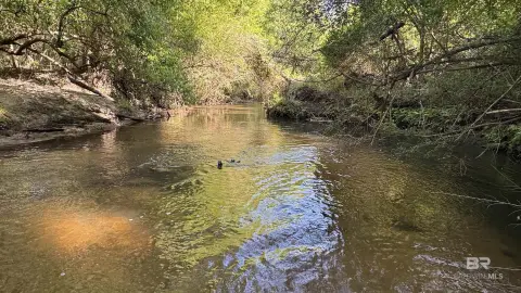 Recreational Land with Creek