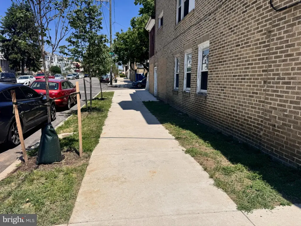 Picture 5