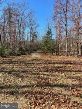 Wooded Lots in Arielle View
