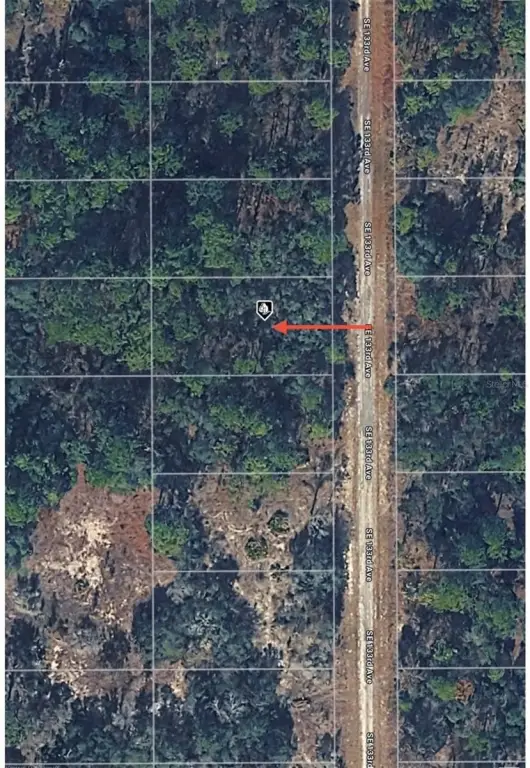 Picture 5