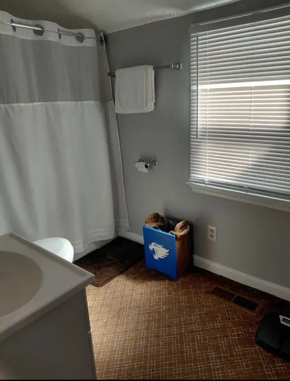 Picture 38