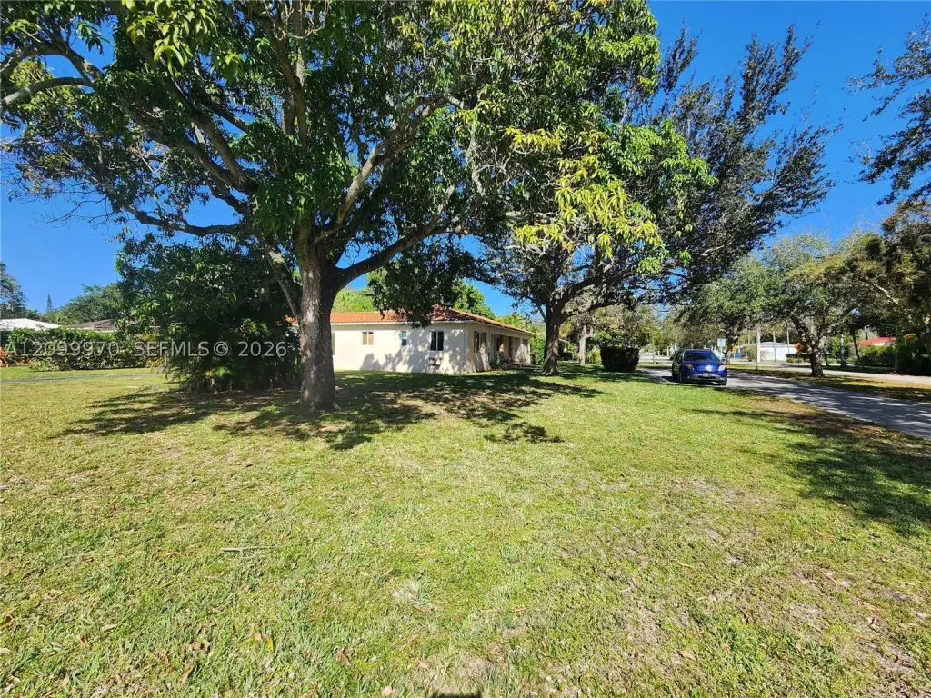 Picture 24