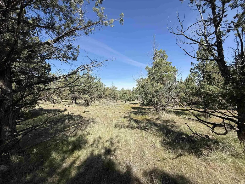 Picture 20